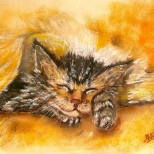 Sleepy Kitten, pastel on color paper by © MariAnna MO Warr