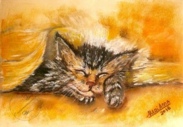Sleepy Kitten, pastel on color paper by © MariAnna MO Warr